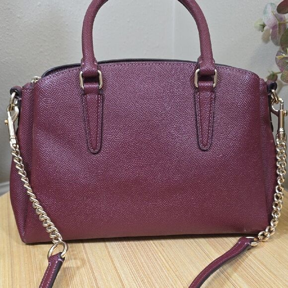 Coach Mini Sage Carryall and Wallet Set - Picture 5 of 14